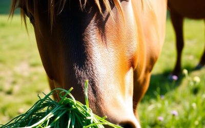 Die wichtigsten Nährstoffe im Pferdefutter – erklärt für Pferdebesitzer